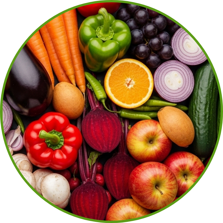 Dieta