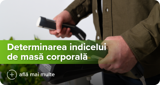 Imagine principală