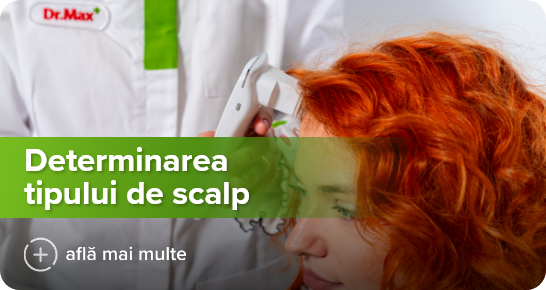 Imagine principală
