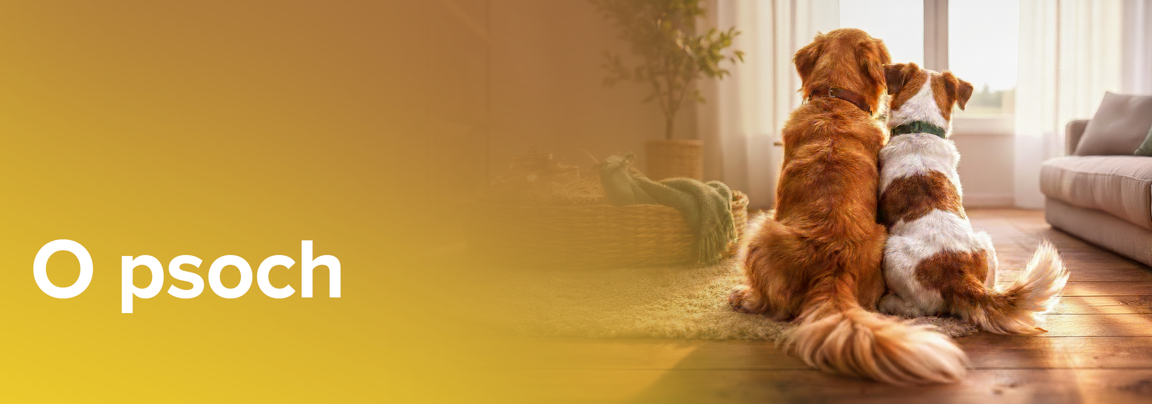 Hlavný banner